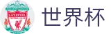 线上买球SHIJIEBEI · 买球赛哪个APP最全最稳